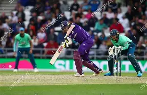 Harry Brook Superchargers vs Phoenix reaction