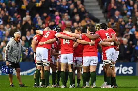Wales Rugby Bosses Say Cutting Professional Teams to Two Is the Best Option
