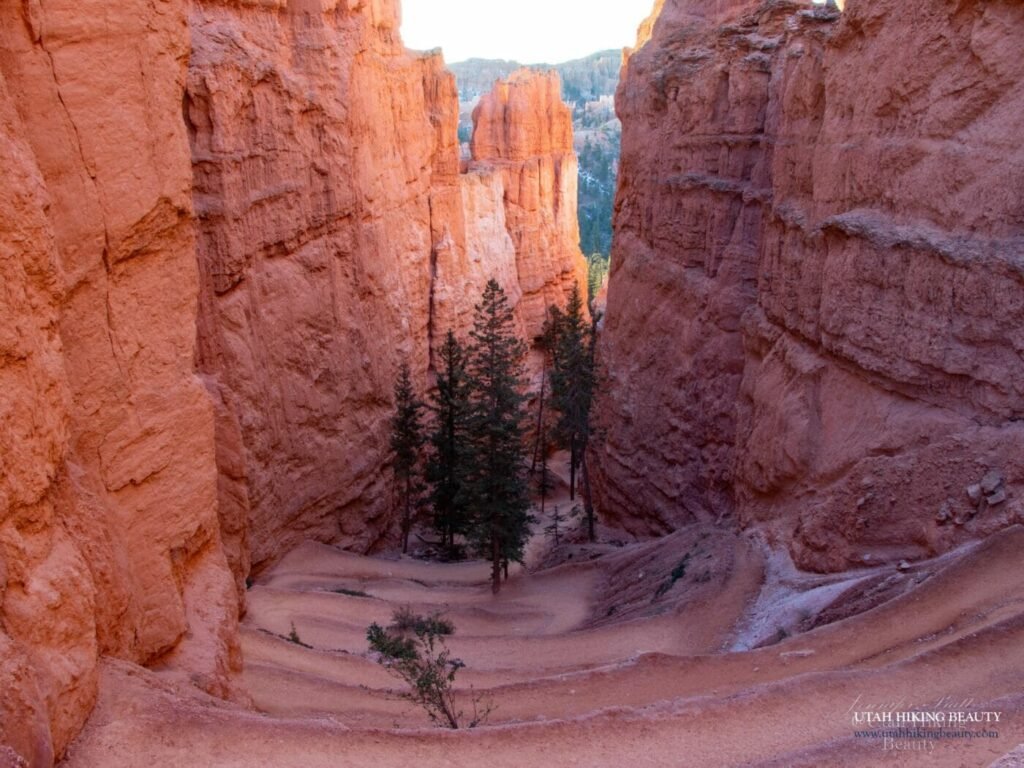Queen's Garden and Navajo Loop — Bryce Canyon National Park, Utah