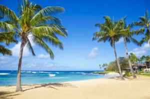10 Great Beaches in the US to Visit in 2026