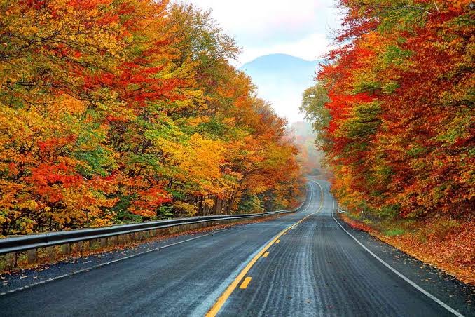 New England Fall Foliage Road Trip